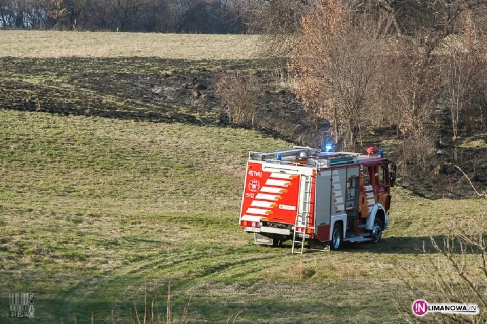 Gwałtownie rośnie liczba pożarów traw - zdjęcie 2