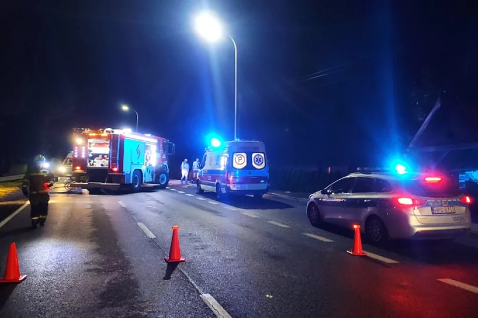 Samochód uderzył w drzewo, dwie osoby poszkodowane - zdjęcie 2