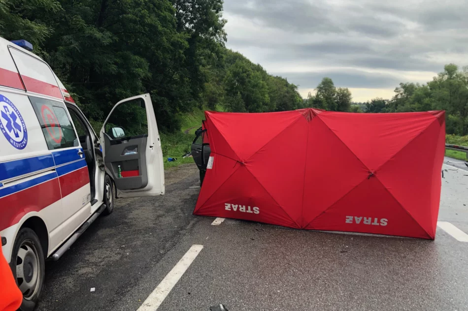 Tragiczny wypadek w regionie: zginęło dwóch mężczyzn, rannych troje dzieci - zdjęcie 5