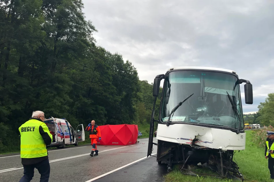 Tragiczny wypadek w regionie: zginęło dwóch mężczyzn, rannych troje dzieci - zdjęcie 6