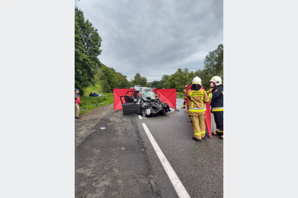 Tragiczny wypadek w regionie: zginęło dwóch mężczyzn, rannych troje dzieci - zdjęcie 10