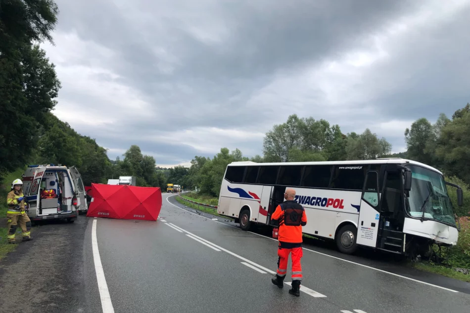 Są wstępne ustalenia policji w sprawie tragicznego wypadku - zdjęcie 8