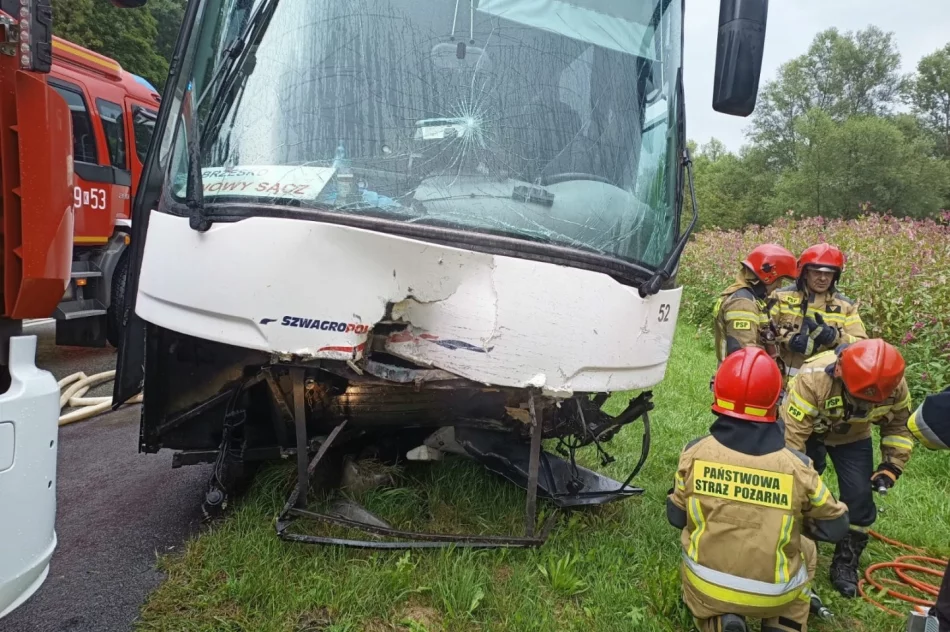 Są wstępne ustalenia policji w sprawie tragicznego wypadku - zdjęcie 9