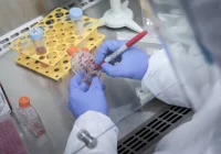 Nowy raport MZ - jedno zakażenie w powiecie. Polacy podzieleni w sprawie obowiązkowych szczepień  - zdjęcie główne