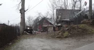 Problem ponad 20 psów po śmierci właściciela - zdjęcie 2