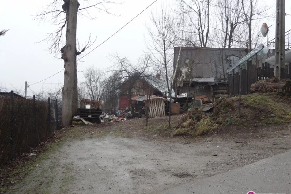 Problem ponad 20 psów po śmierci właściciela - zdjęcie 2