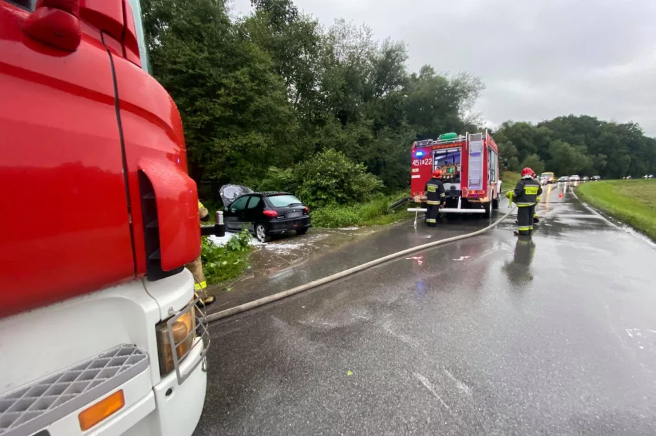 Pożar samochodu osobowego - zdjęcie 2