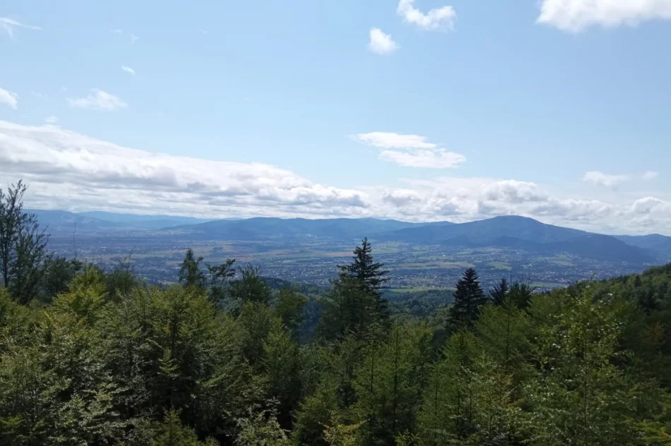 Zakończyła się akcja „Lato z przewodnikiem” - zdjęcie 11