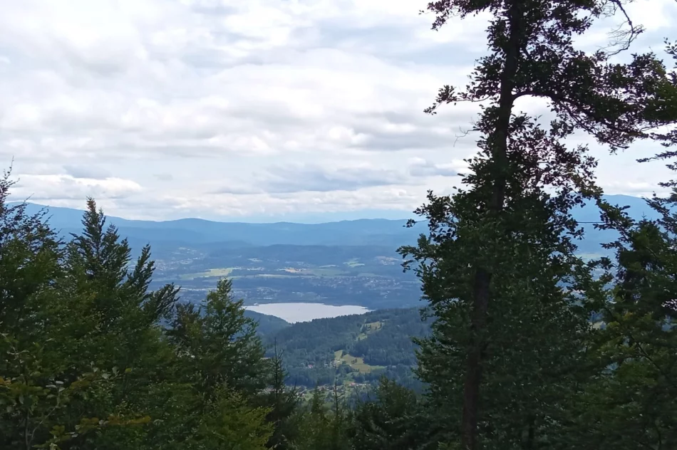 Zakończyła się akcja „Lato z przewodnikiem” - zdjęcie 15