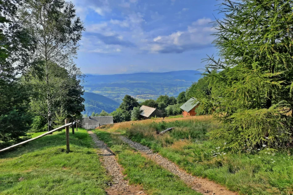 Zakończyła się akcja „Lato z przewodnikiem” - zdjęcie 18