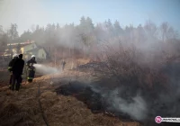 Wypalanie traw. Jakie grożą kary? - zdjęcie główne