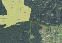 Nadleśnictwo informuje o pracach - potrwają do końca października - zdjęcie główne