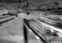 Przedłużony areszt za 'czynność seksualną' - zdjęcie główne