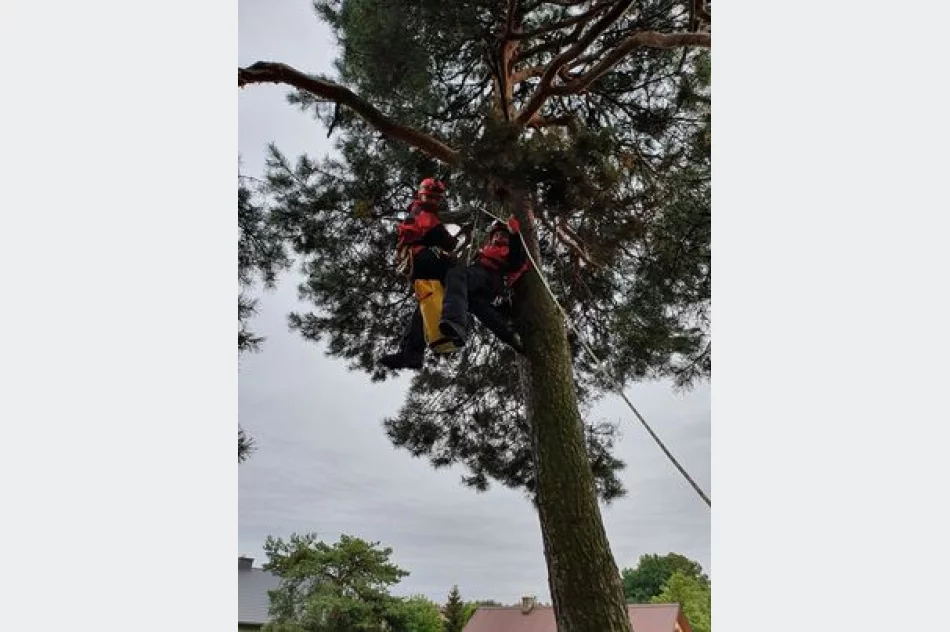 Obóz kondycyjno-szkoleniowy Specjalistycznej Grupy Ratownictwa Wysokościowego - zdjęcie 2