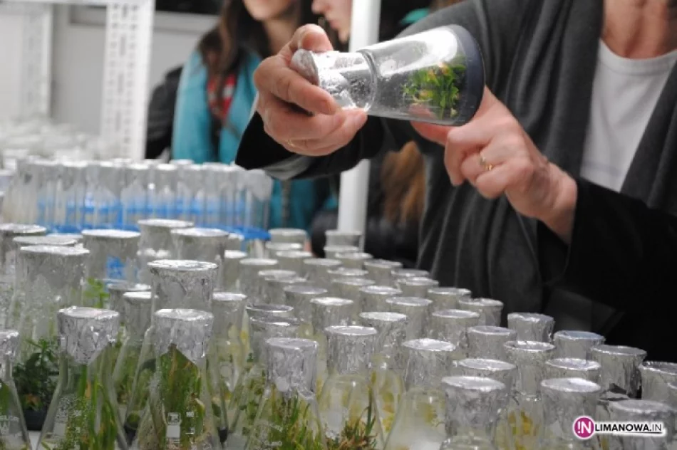 Młodzi architekci krajobrazu - zdjęcie 3