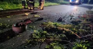 Groźnie wyglądające dachowanie Audi - zdjęcie 4