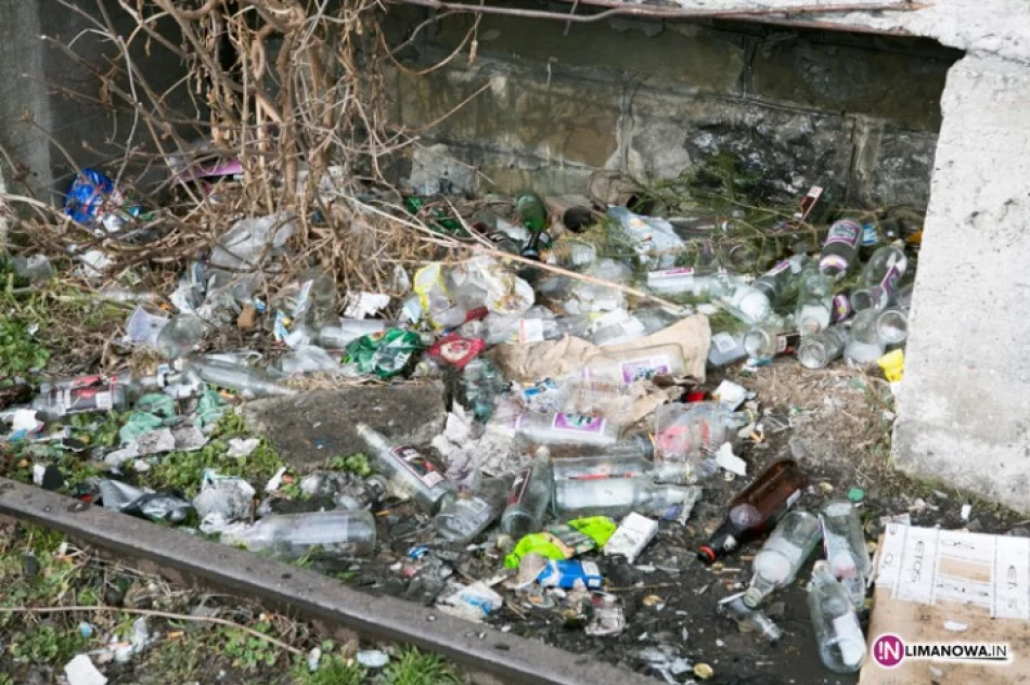 Pożar od ogniska? 600 tys. zł strat - zdjęcie 4