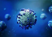 "Wciąż jesteśmy w pierwszej fazie rozwoju epidemii" a jakie są kolejne? - zdjęcie główne