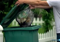 Co ze stawkami za zagospodarowanie odpadów? - zdjęcie główne