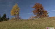 Malowanie Beskidami - zdjęcie 2