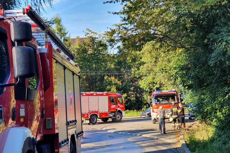 Zapaliła się koparko-ładowarka. Pożar ugasili strażacy - zdjęcie 2