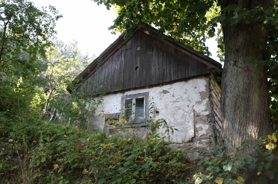 Dzień przed rocznicą upamiętniono pierwszą niemiecką zbrodnię na Limanowszczyźnie - zdjęcie 4