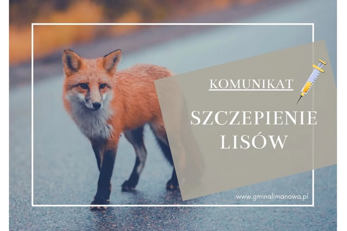 Komunikat dotyczący szczepienia lisów