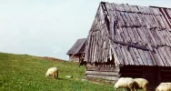 Podróże ze Zbigniewem Sułkowskim - zdjęcie 2