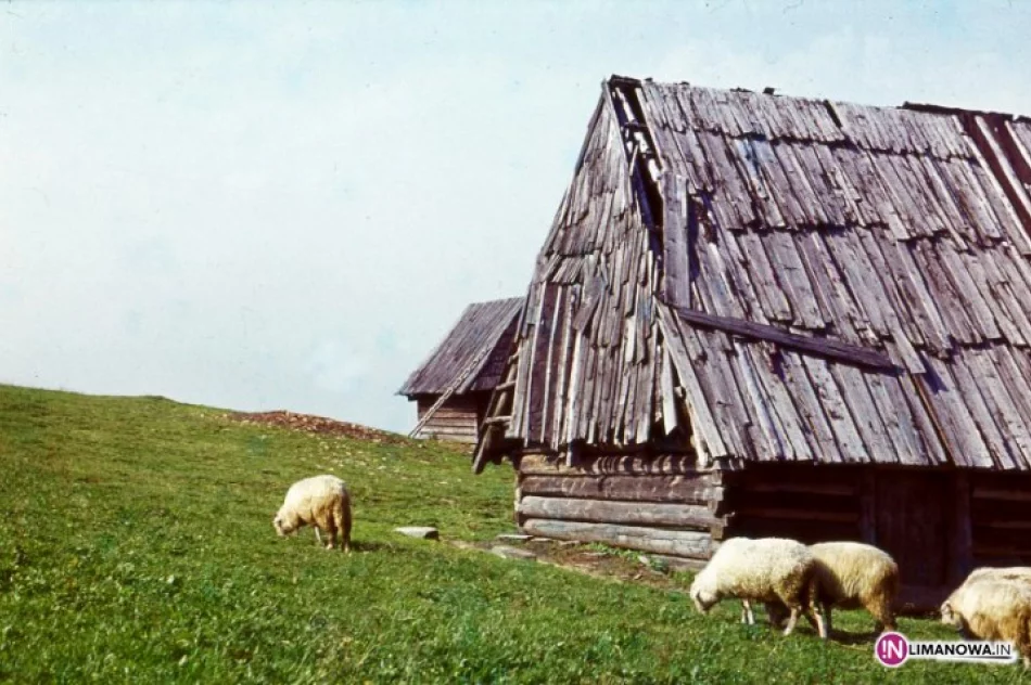 Podróże ze Zbigniewem Sułkowskim - zdjęcie 2