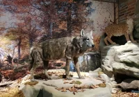 Dni otwarte Funduszy Europejskich w GPN - zdjęcie główne