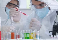 Naukowcy coraz lepiej rozumieją wpływ SARS-CoV-2 na organizm - zdjęcie główne