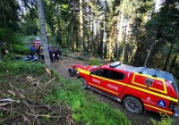 Wypadek przy ścince drzewa - mężczyzna trafił do szpitala - zdjęcie główne
