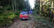 Wypadek przy ścince drzewa - mężczyzna trafił do szpitala - zdjęcie 2