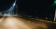 Droga zanieczyszczona... obornikiem - zdjęcie 2