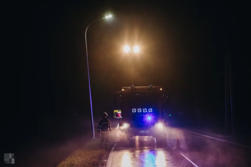 Droga zanieczyszczona... obornikiem - zdjęcie 10