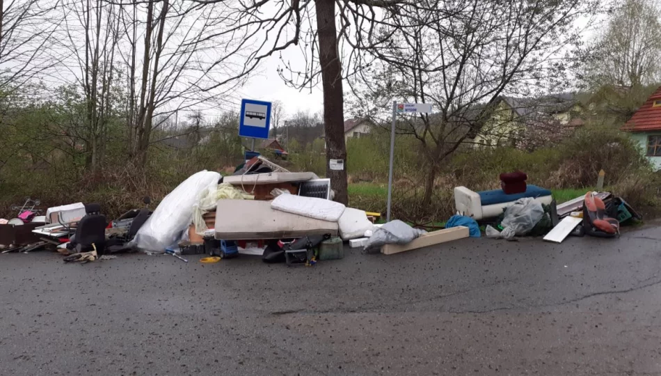 Zbliża się odbiór gabarytów w gminie - poprzedni nie wyszedł najlepiej - zdjęcie 1