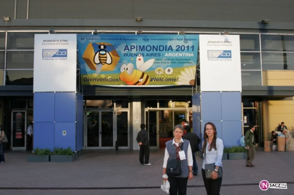 Świat przez tydzień kręcił się wokół miodu - zdjęcie 3