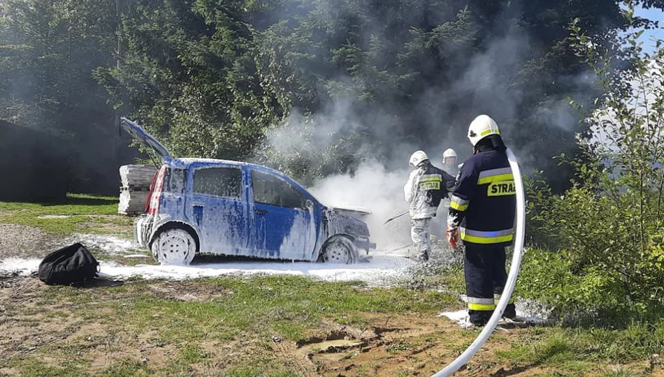 Strażacy ugasili pożar samochodu. Ogień objął komorę silnika - zdjęcie 1