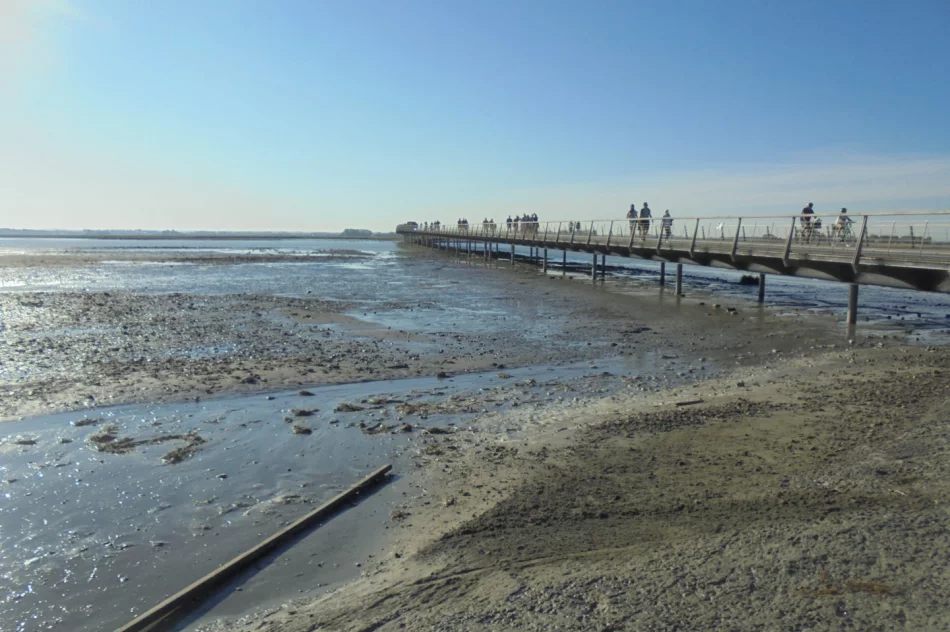 Kolejna motocyklowa wyprawa pana Józefa - zdjęcie 15