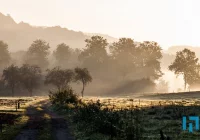Przedłużono czas na nadsyłanie prac - zdjęcie główne