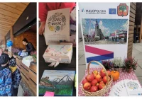 W myśl hasła „ZERO WASTE” –„NIE MARNUJ” odbył się kiermasz ekologiczny - zdjęcie główne