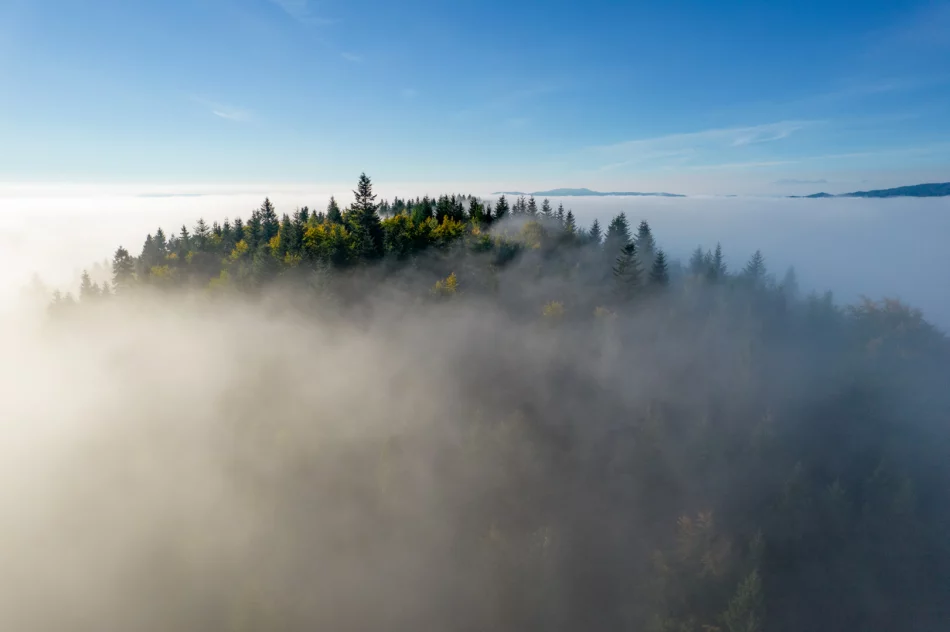 Mglisty poranek w Beskidzie Wyspowym - zdjęcie 2