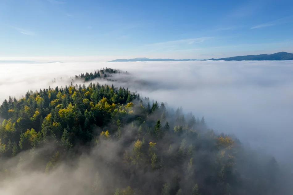 Mglisty poranek w Beskidzie Wyspowym - zdjęcie 3