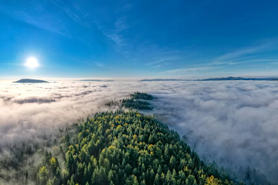 Mglisty poranek w Beskidzie Wyspowym - zdjęcie 8