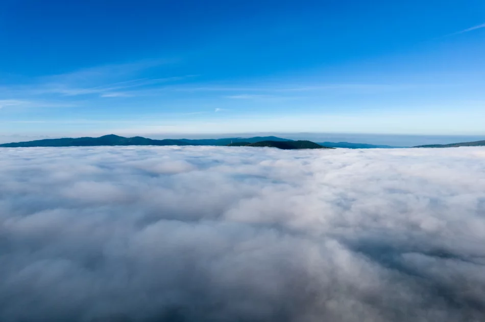 Mglisty poranek w Beskidzie Wyspowym - zdjęcie 9