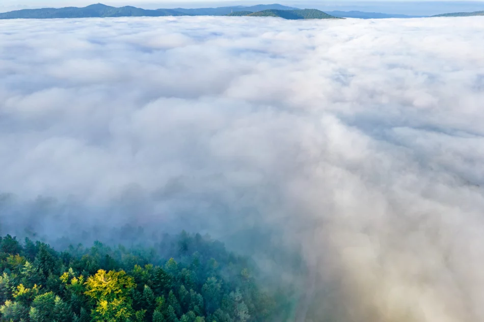 Mglisty poranek w Beskidzie Wyspowym - zdjęcie 10
