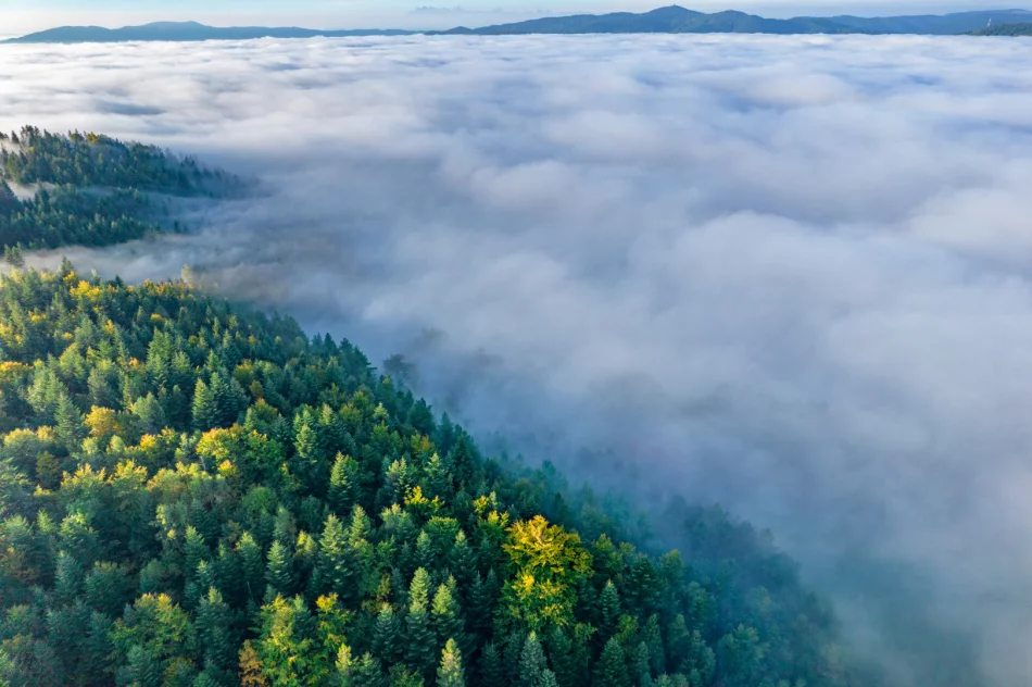 Mglisty poranek w Beskidzie Wyspowym - zdjęcie 11