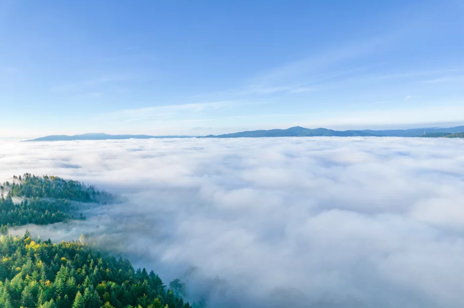 Mglisty poranek w Beskidzie Wyspowym - zdjęcie 12