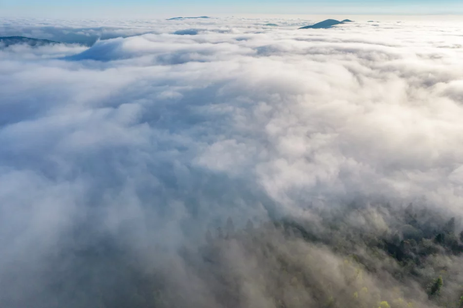 Mglisty poranek w Beskidzie Wyspowym - zdjęcie 13