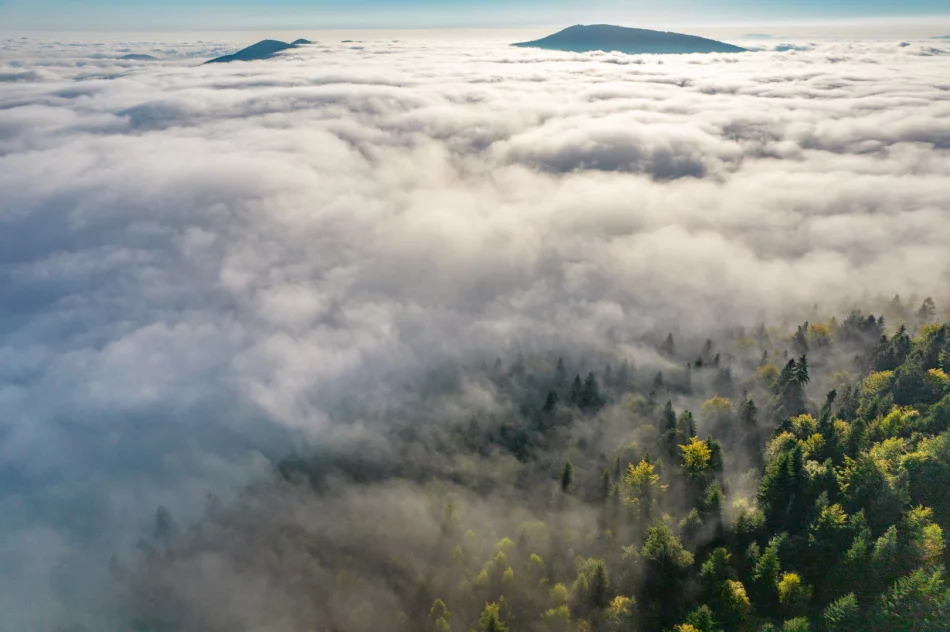 Mglisty poranek w Beskidzie Wyspowym - zdjęcie 14